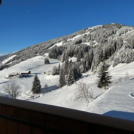 Lemberger - Biohof Stallfeld