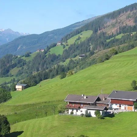 Lemberger - Biohof Stallfeld