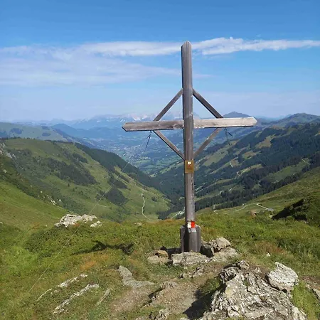 Lemberger - Biohof Stallfeld *