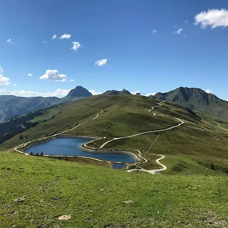 公寓 Lemberger - Biohof Stallfeld