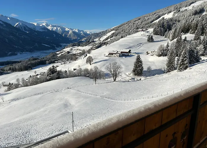 Lemberger - Biohof Stallfeld *