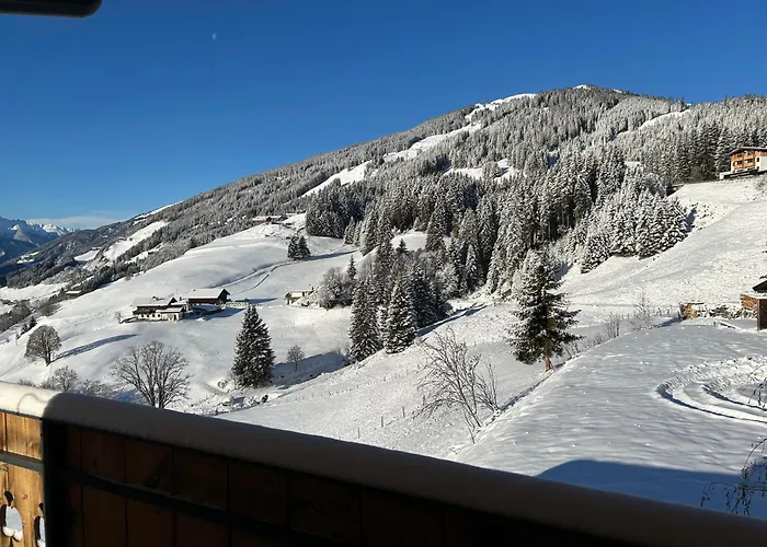 Lemberger - Biohof Stallfeld