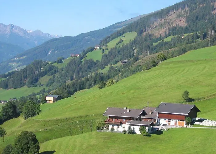 Lemberger - Biohof Stallfeld