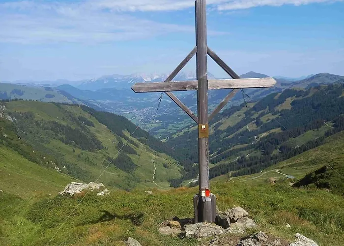 Lemberger - Biohof Stallfeld *