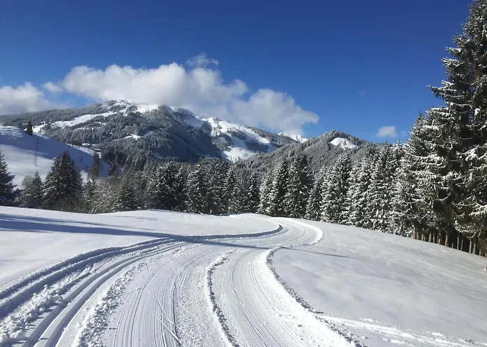 Lemberger - Biohof Stallfeld Hollersbach im Pinzgau